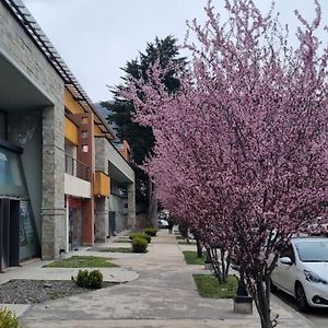 Apartamento de 1 Dormitorio